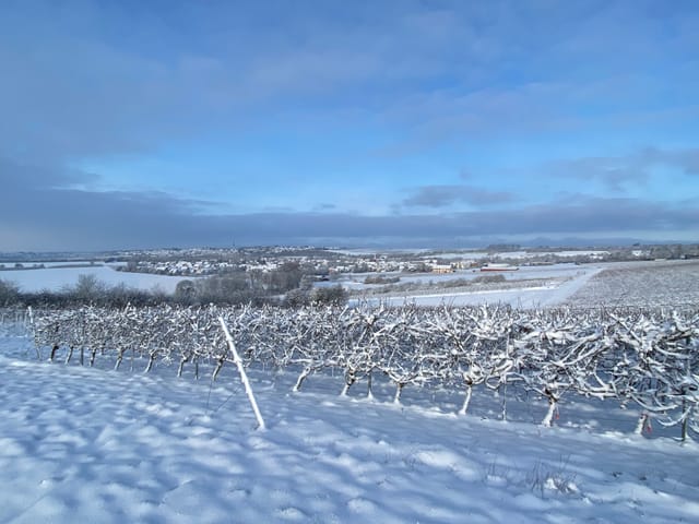Blick auf das schneebedeckte Klein-Winternheim und Ober-Olm